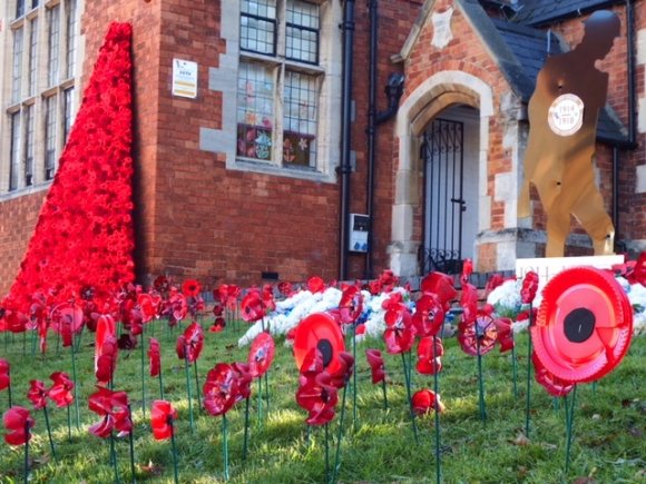 Poppy Cascade