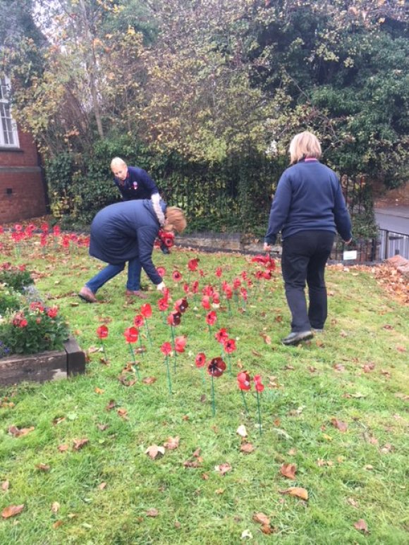 Poppy Cascade - Installation