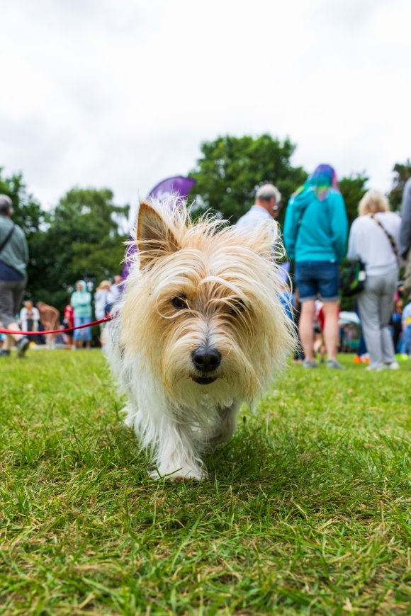 Duston Fun Day 2024