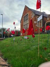 A pictures showing all of the dedication poppies for 2021