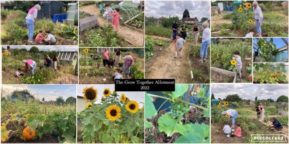 A collection of pictures showing the produce we grew and the fun we had on The Grow Together Allotment